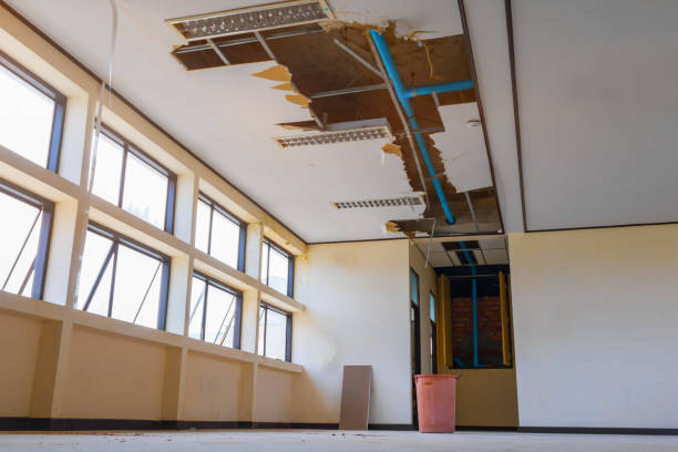 Best Carpet water damage restoration  in Dunn Loring, VA