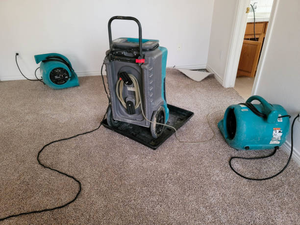Best Sewage cleanup and water damage restoration  in Dunn Loring, VA