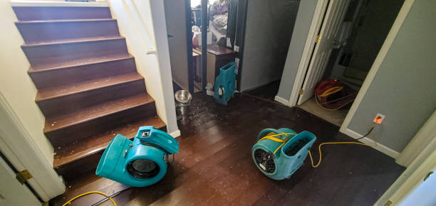 Best Water damage contractors near me  in Dunn Loring, VA