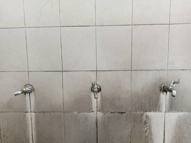 Best Mold removal after water damage  in Dunn Loring, VA