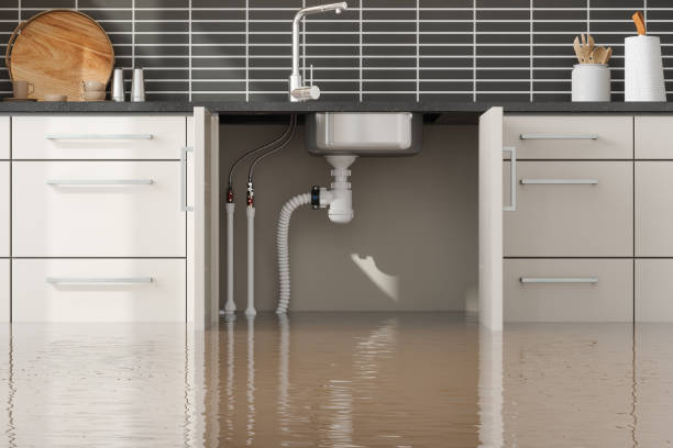  Dunn Loring, VA Water damage restoration Pros