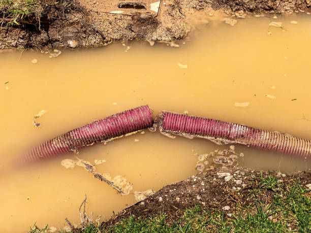Best Professional water damage repair  in Dunn Loring, VA